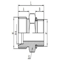 METRIC MALE 24°L.T./BSP MALE O-RING