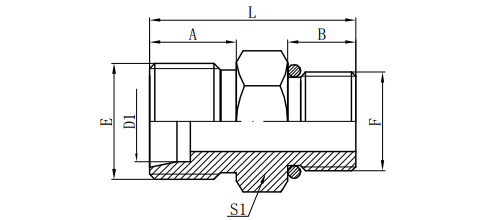 METRIC MALE 24°H.T./BSP MALE O-RING